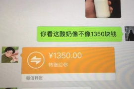 英吉沙专业讨债公司有哪些核心服务？